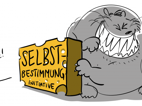 Selbstbestimmungsinitiative Menschenrechte
